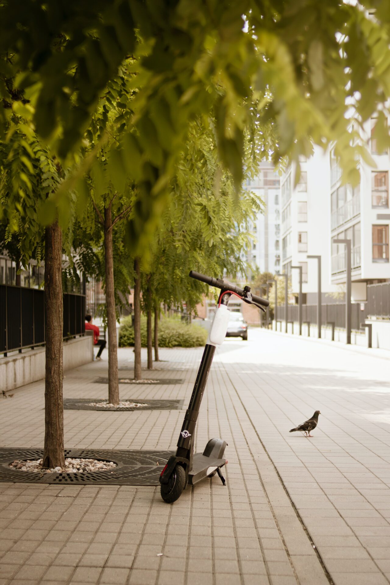 Scooter parked under a tree on a sidewalk.